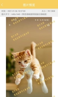 数据恢复工具-强力数据恢复