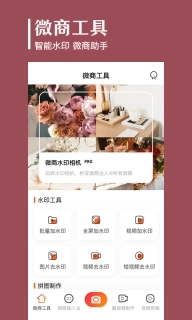 抖商去水印-去马赛克