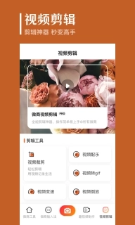 抖商去水印-去马赛克