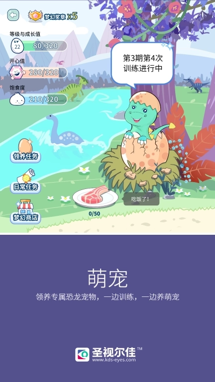 圣视尔佳弱视训练软件