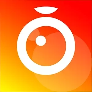 监控 butler-手机远程监控眼