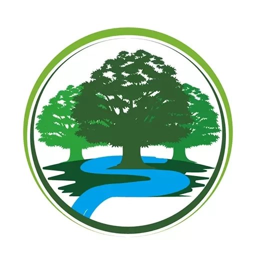 网络在线课堂-助你轻松通过考试