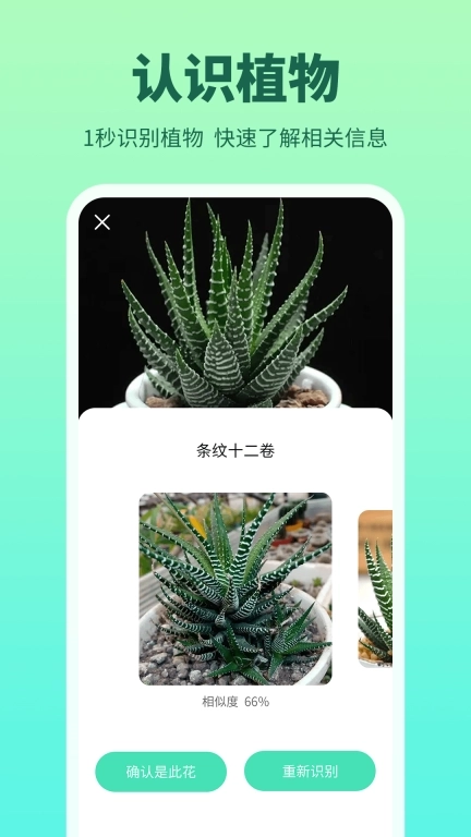花多多-拍照识花植物识别