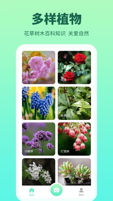 花多多-拍照识花植物识别
