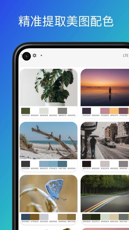 柒号色卡-配色助手