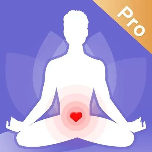 凯格尔运动pro-盆底肌修复锻炼