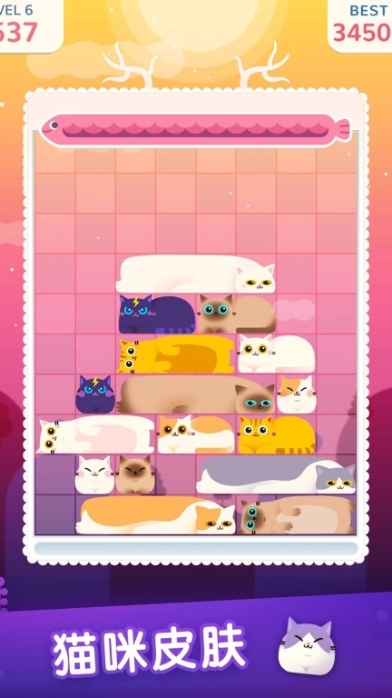 土耳其猫咪消除