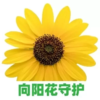 向阳花守护-远程管控手机防沉迷