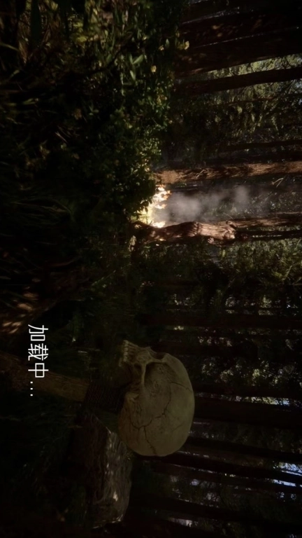 真实荒野生存-森林之子