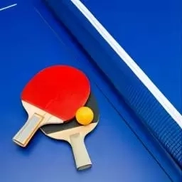 全民乒乓球模拟器游戏软件-乒乓球模拟对决