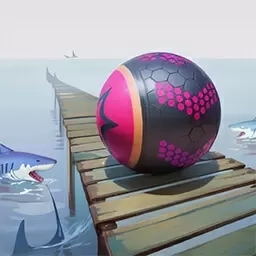 球球的冒险之旅