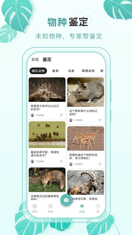 百科物语-物种识别
