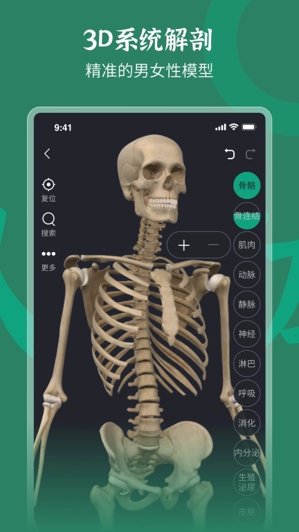 万康人体解剖-3D解剖