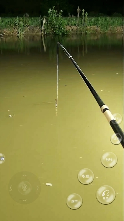 翘嘴云钓鱼-实景真实垂钓
