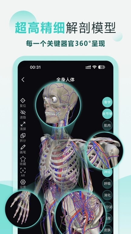 掌上3D解剖-中医断层刷题名师课