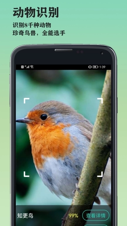 山图万物识别-万物识别