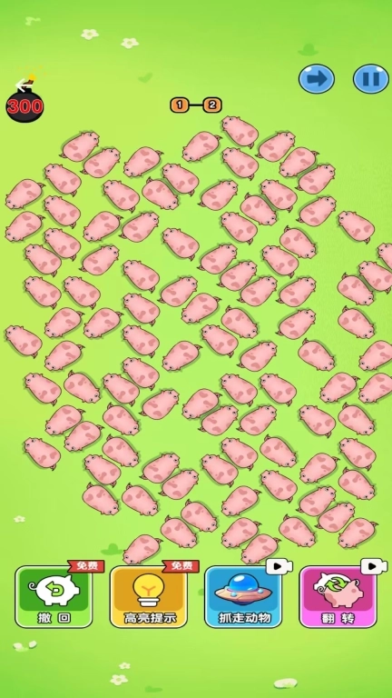 奔跑的小猪-救救这只猪