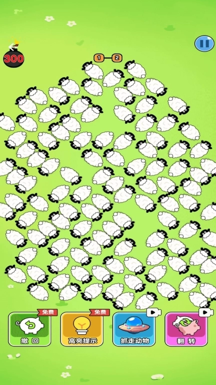 奔跑的小猪-救救这只猪