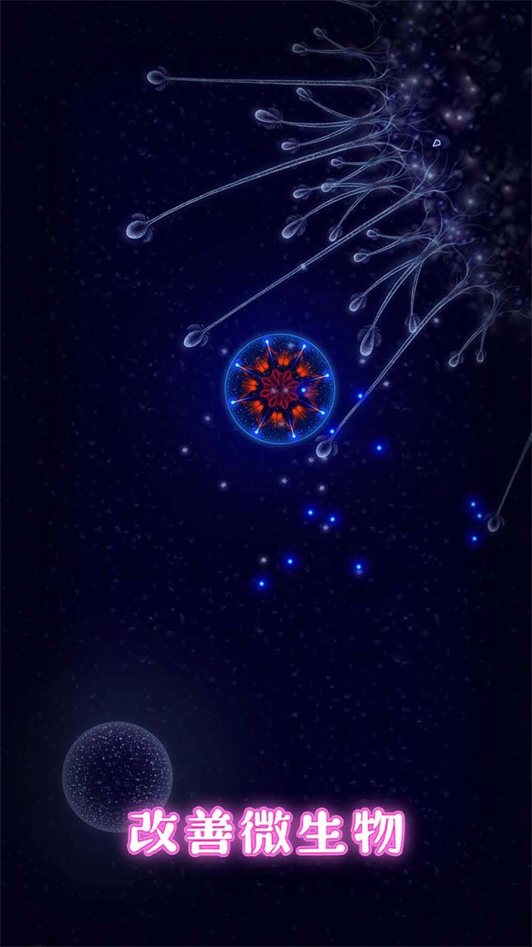 真实世界-微观生物