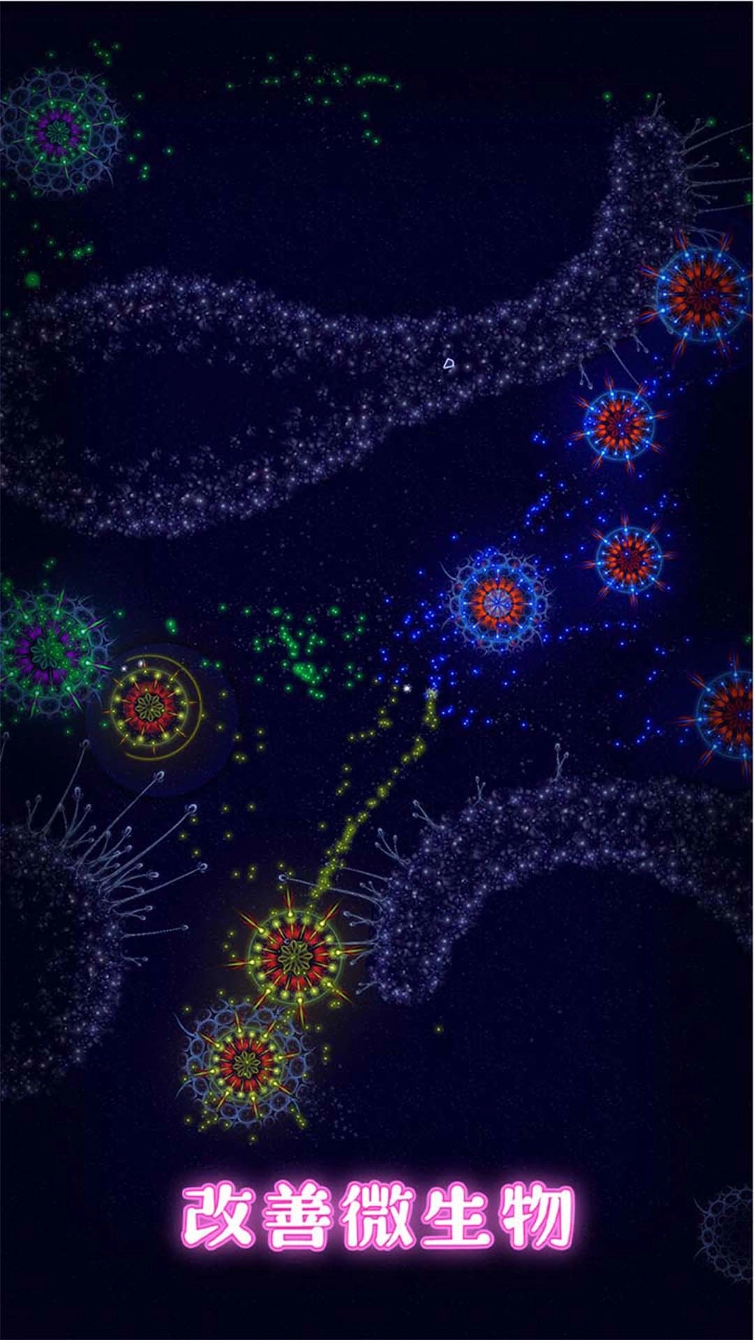 真实世界-微观生物