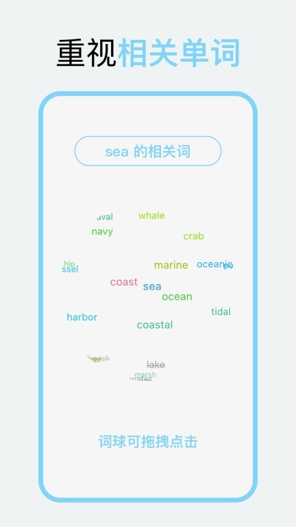 向量单词-列表背单词