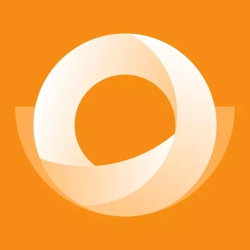 阳薪花-零付费记账软件