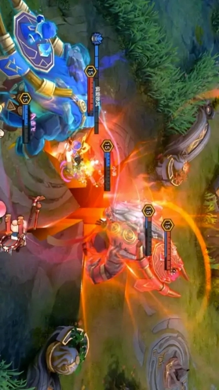 火拼王者-王者5对决