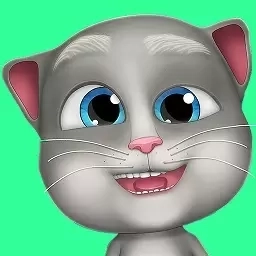 会说话的胡安猫