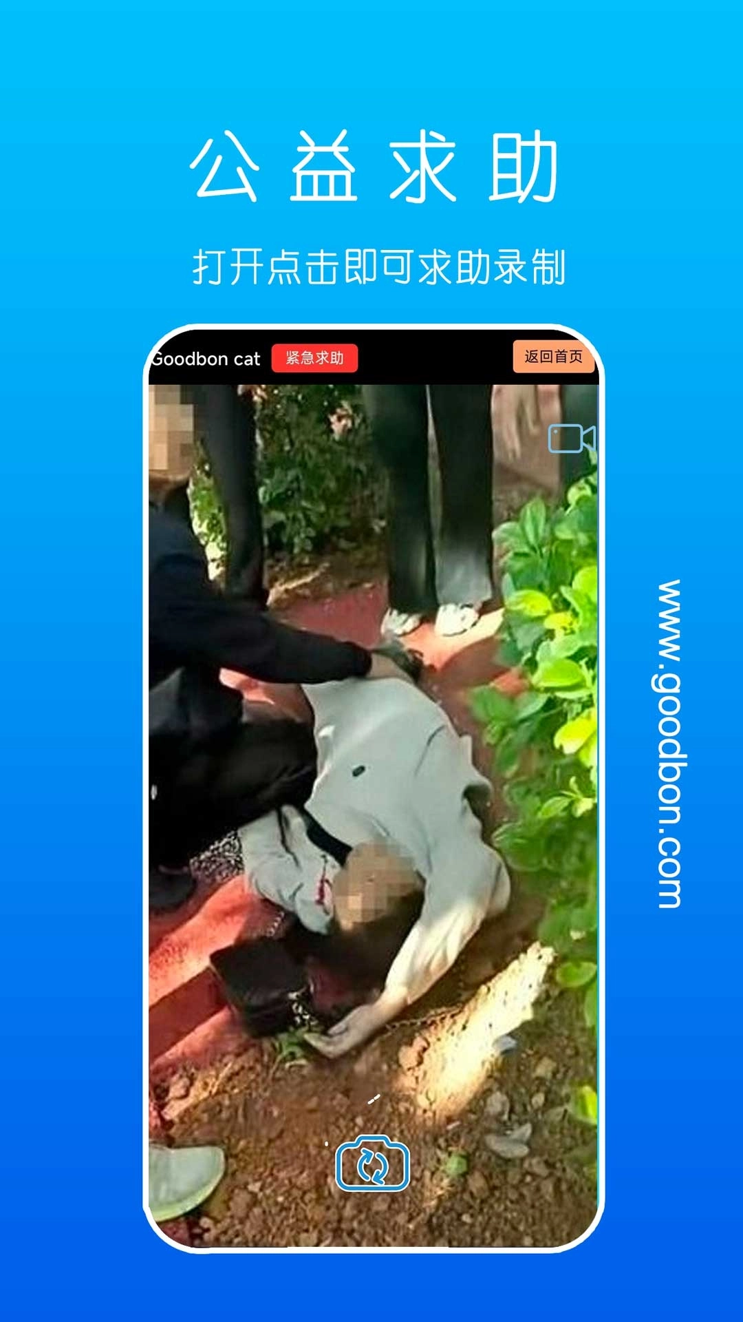 goodbon cat-随机聊天视频交友