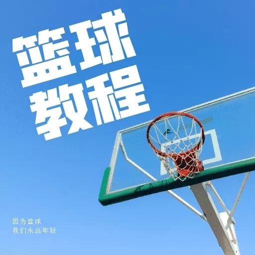 篮球学习宝典-掌控篮球提升技巧