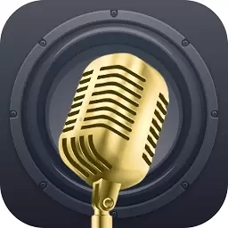 话筒扩音器-蓝牙麦克风