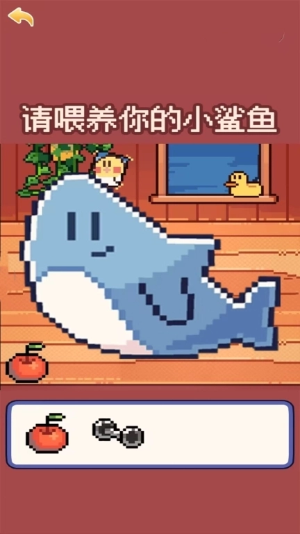 奇怪的动物-我的小鲨鱼