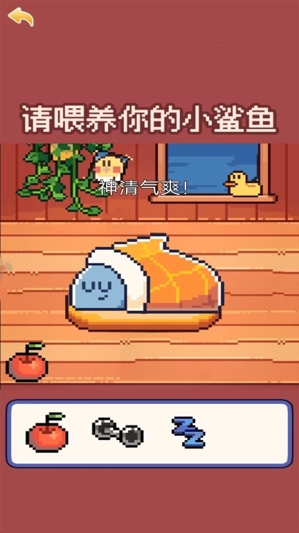 奇怪的动物-我的小鲨鱼