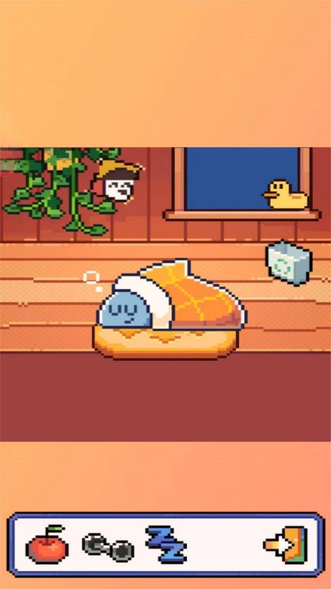 一条欢快的小鱼-养只小鲨鱼