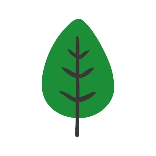 好奇绘本-给孩子挑选绘本