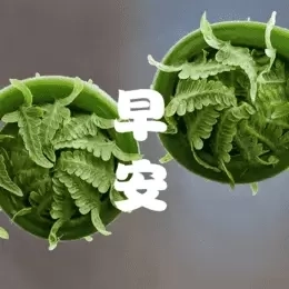 成友早安-智能图片和祝福语