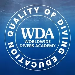 WDA ASIA