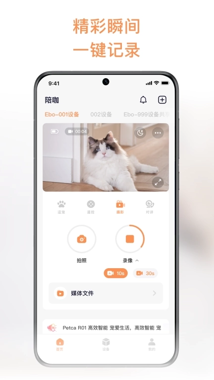 Petca-逗猫机器人