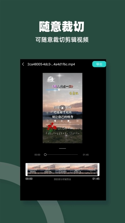 私人电影播放器
