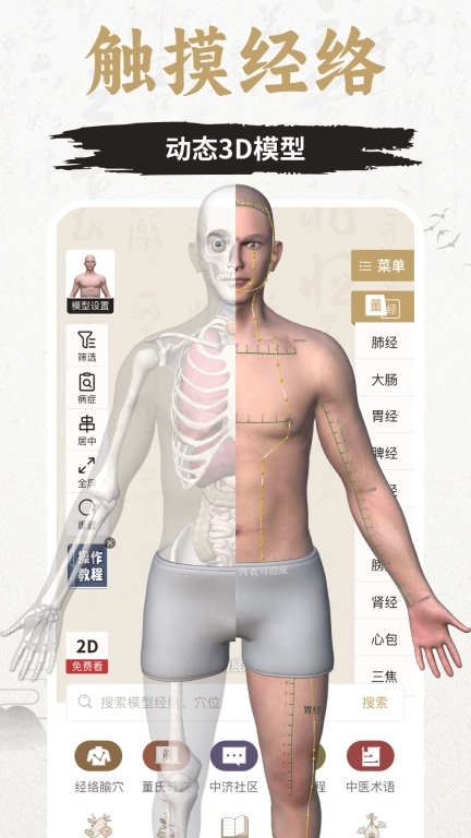 知源经络穴位-中医针灸按摩养生