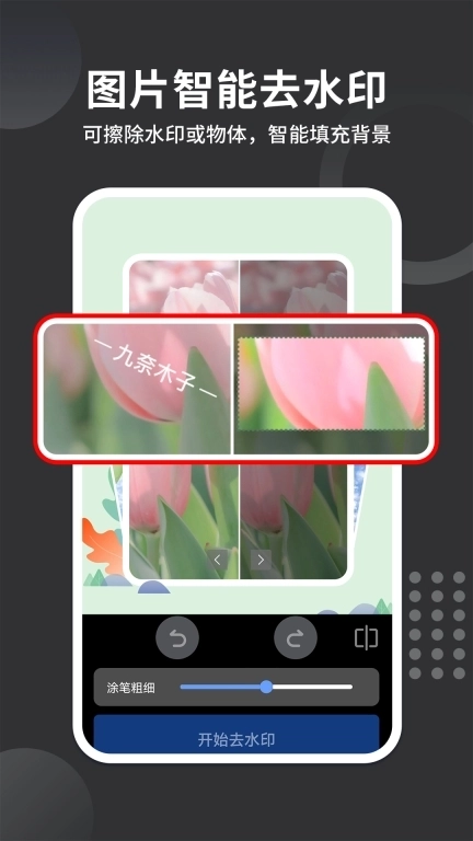 免费去水印大师