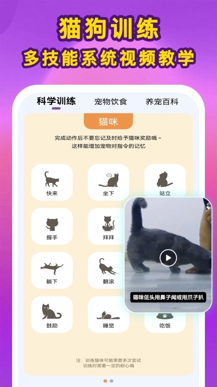 啵啵猫狗语音-猫狗宠物交流翻译器