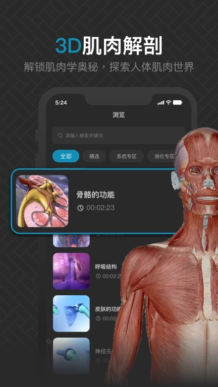 3D肌肉解剖-人体肌肉解剖图谱