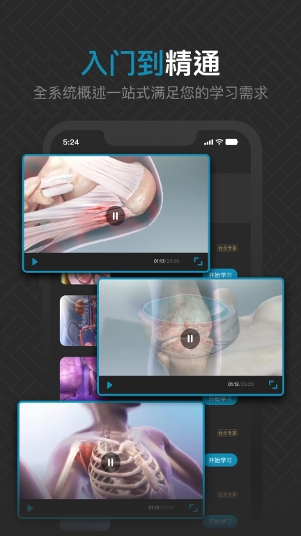 3D肌肉解剖-人体肌肉解剖图谱