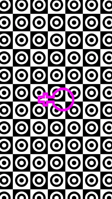 多宝视训练系统