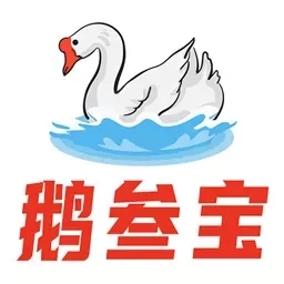 鹅叁宝