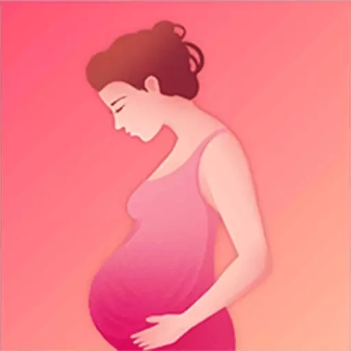 预产期计算器计算