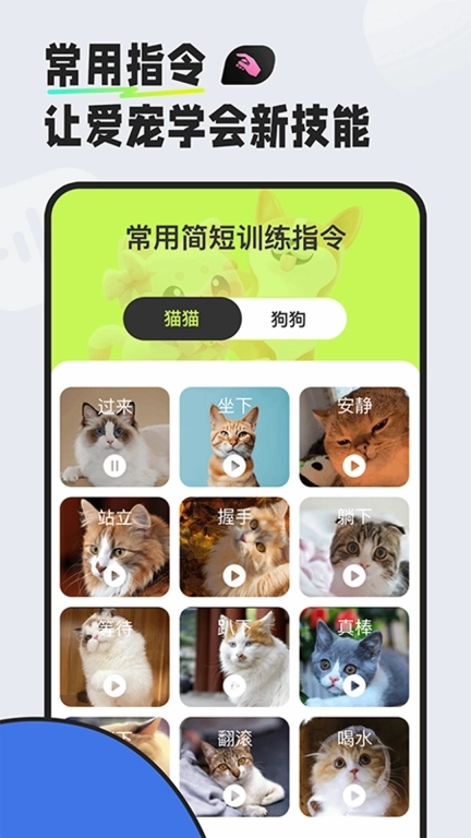 猫狗对话翻译器-猫狗助手