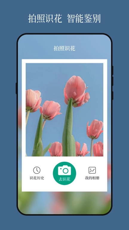 花草识别flower植物识别-植物识别