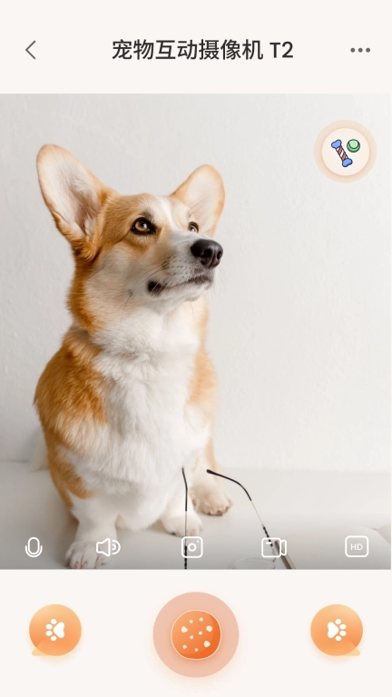 可可派宠物-可可派